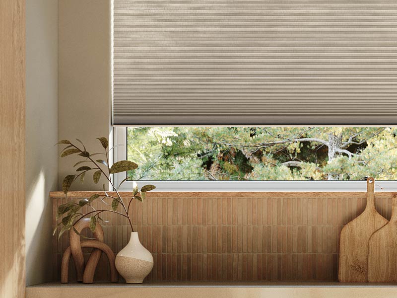 silhouette window shadings detail