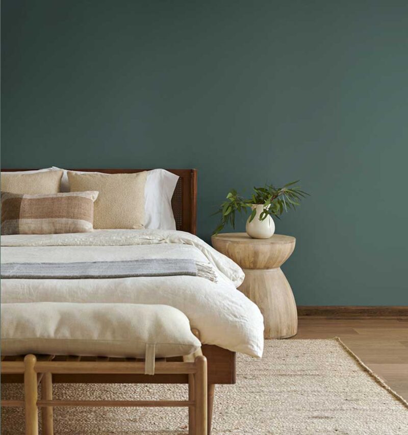 Behr's color of the year 2026 hidden gem