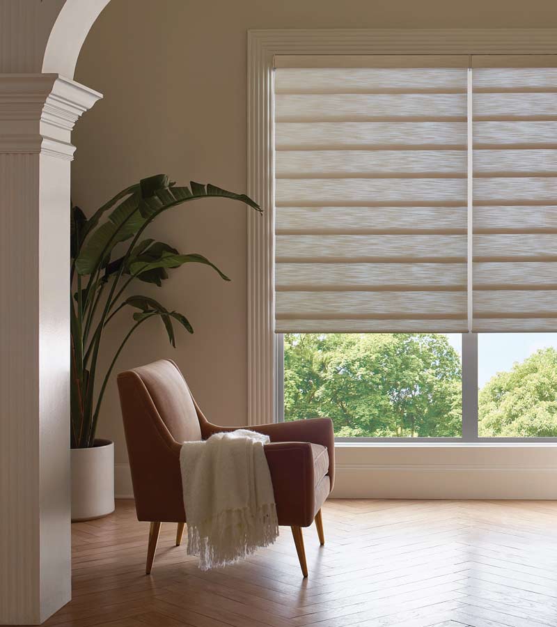 skyline-window-coverings-white-plains-new-york-vignette-modern-roman-shades-by-hunter-douglas Light filtering roman shades in a traditional White Plains living room