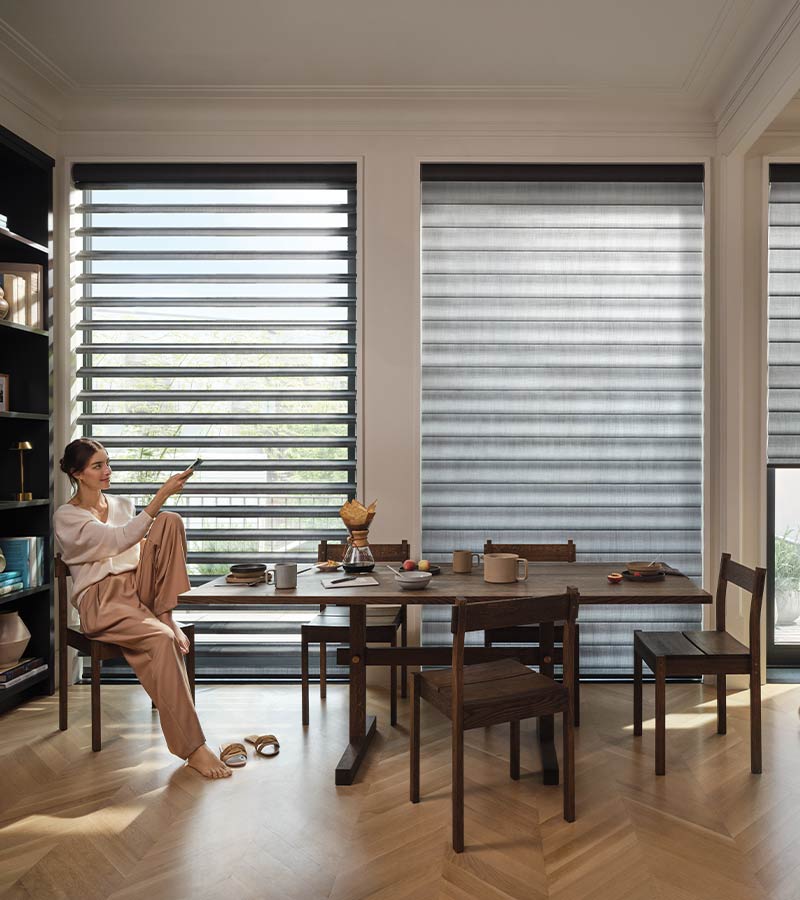 pirouette-window-treatments-automated-smart-home-window-blinds-hunter-douglas-skyline-window-coverings pirouette shades in multipurpose room with adjustable vanes