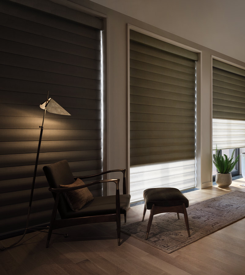 pirouette-window-treatments-dual-shades-room-darkening-liner-hunter-douglas-skyline-window-coverings room darkening shades pirouette window treatments
