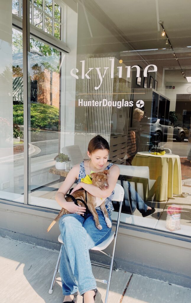 PAWS Chicago skyline window coverings community involvement