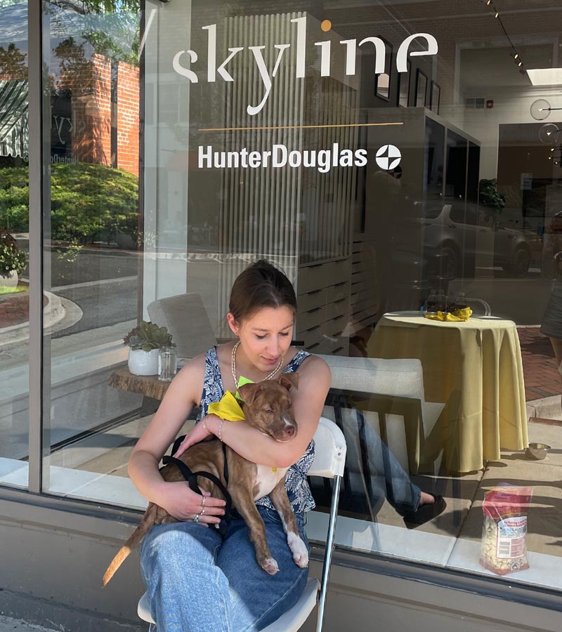 skyline window coverings paws adoption event at winnetka showroom